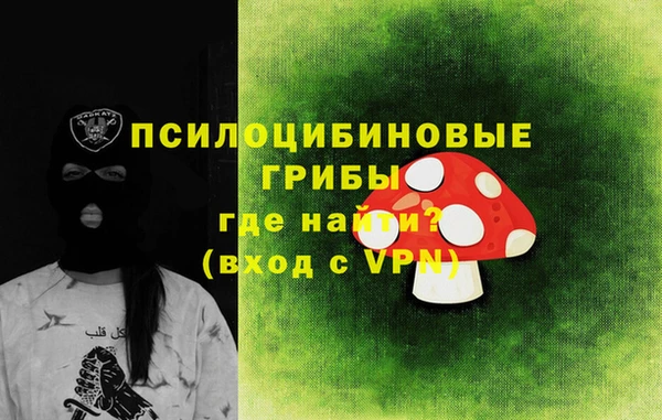 гидра Ладушкин