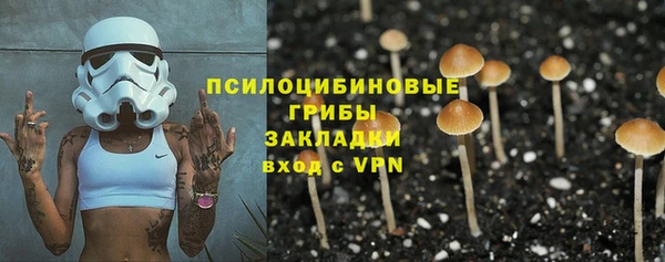 прущий лед Лагань