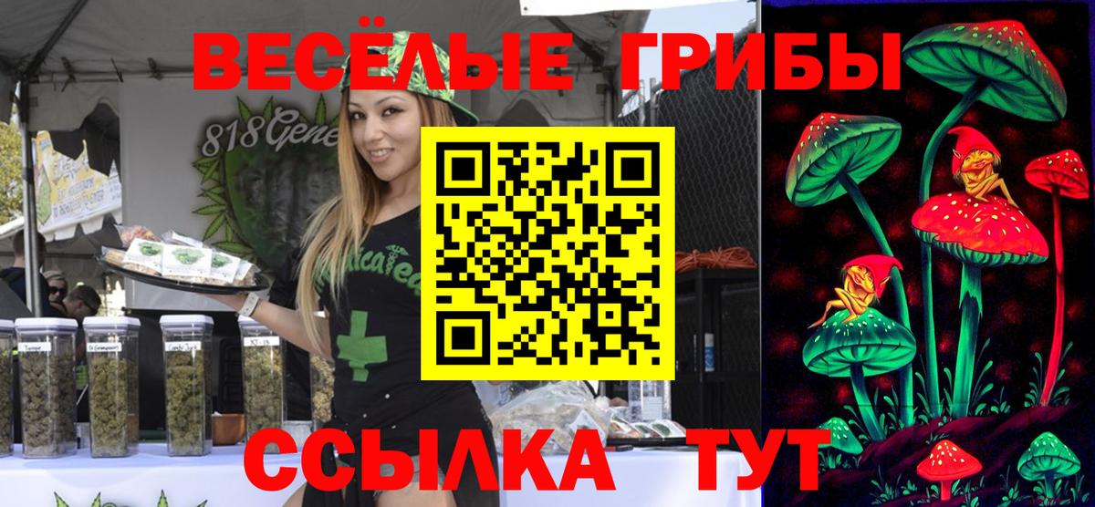 Галлюциногенные грибы Magic Shrooms Шали