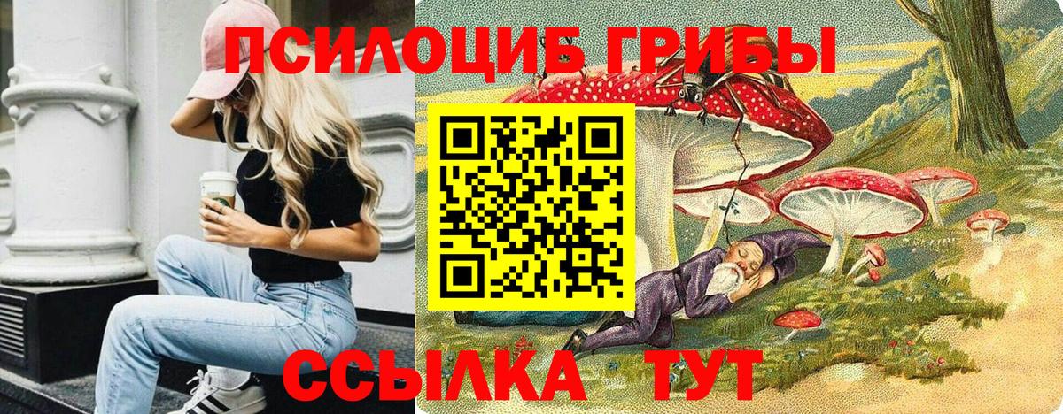 Псилоцибиновые грибы мицелий  Вход с VPN  Шали  Галлюциногенные грибы мухоморы 