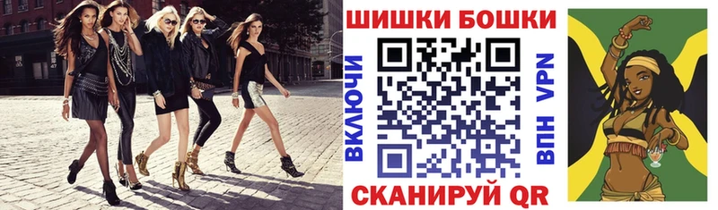 даркнет наркотические препараты  Шали  Марихуана ГИДРОПОН 